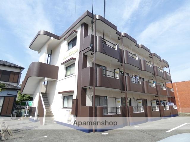 メゾンフィルライト