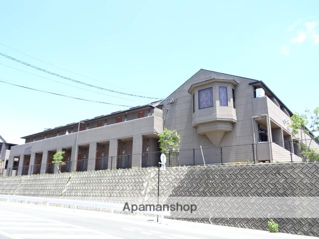 セザンヌ大知波[2階]