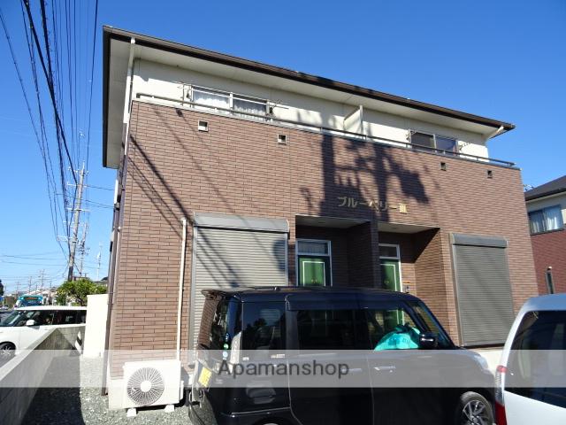 ブルーベリーⅢ