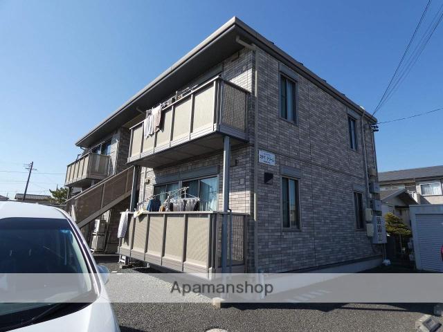 ステイドリーム