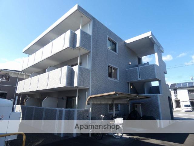 グランストーク・ウィンディ