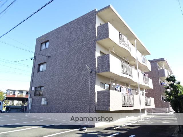 コンフォート