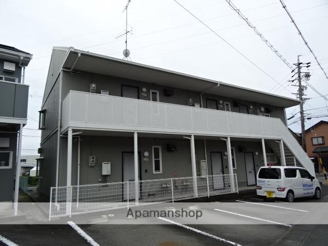 セントポーリア葵 D