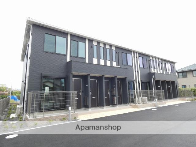 ロコ・ソラーレ