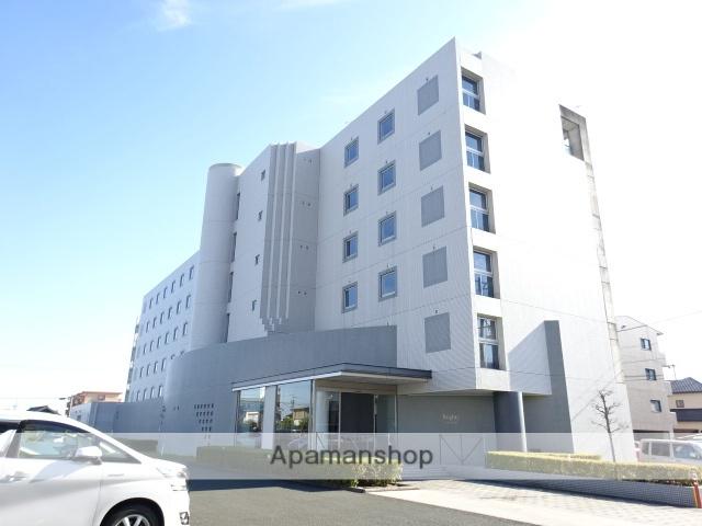 ブライティ助信