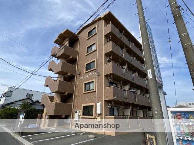 カモミール・ガーデン