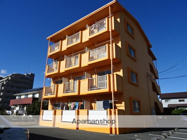 プロスパー初生