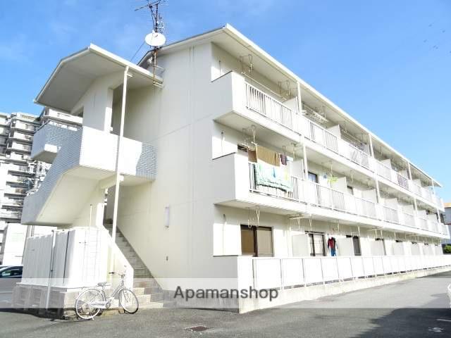 ロイヤルシングル