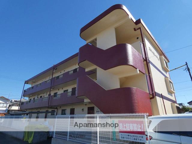 スカイローイ・TJ