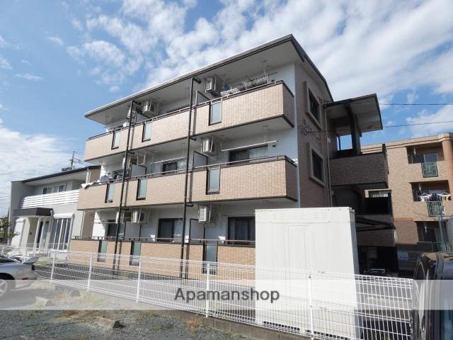 ライス・ヘッジ