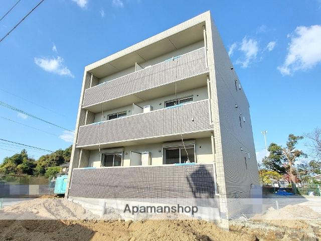 カリスリーブラ