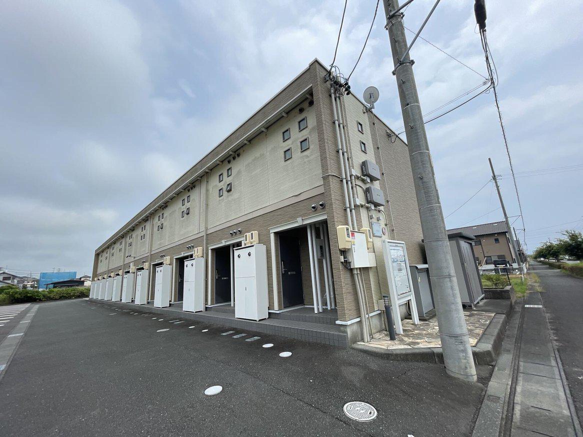 レオネクストスイートピー