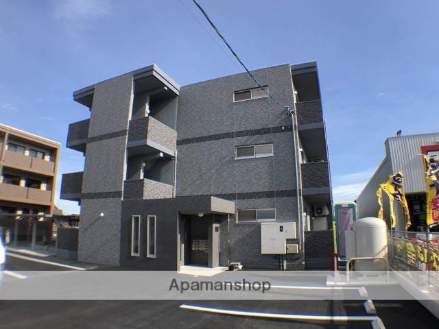 シャウレーアリタマ