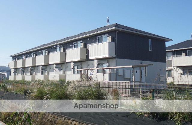 エヴァーグリーン