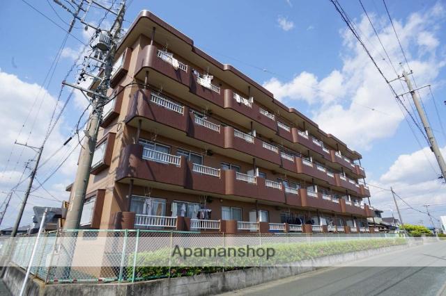 サンフラワーIII