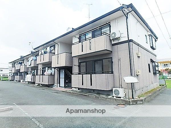 ハイカムールジャスミンB