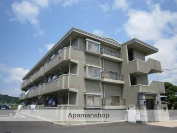 エヴァーグリーン