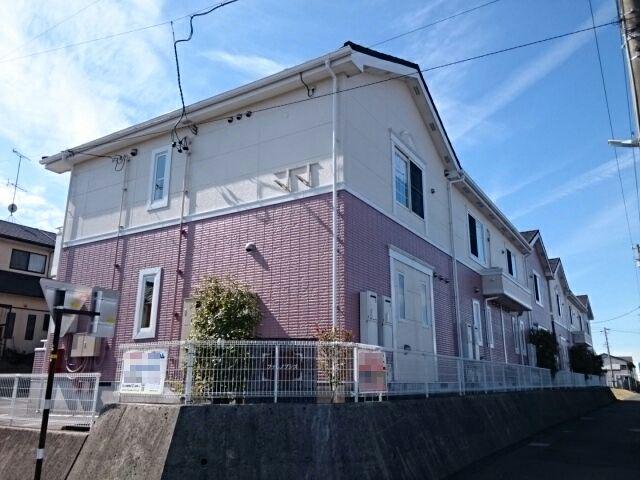 ファレノプシスA