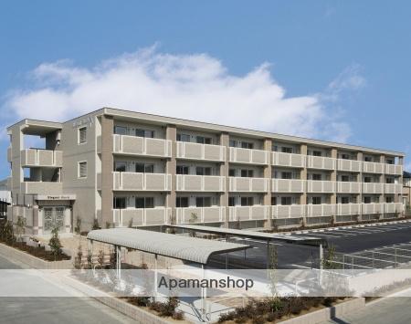 エレガントストーク