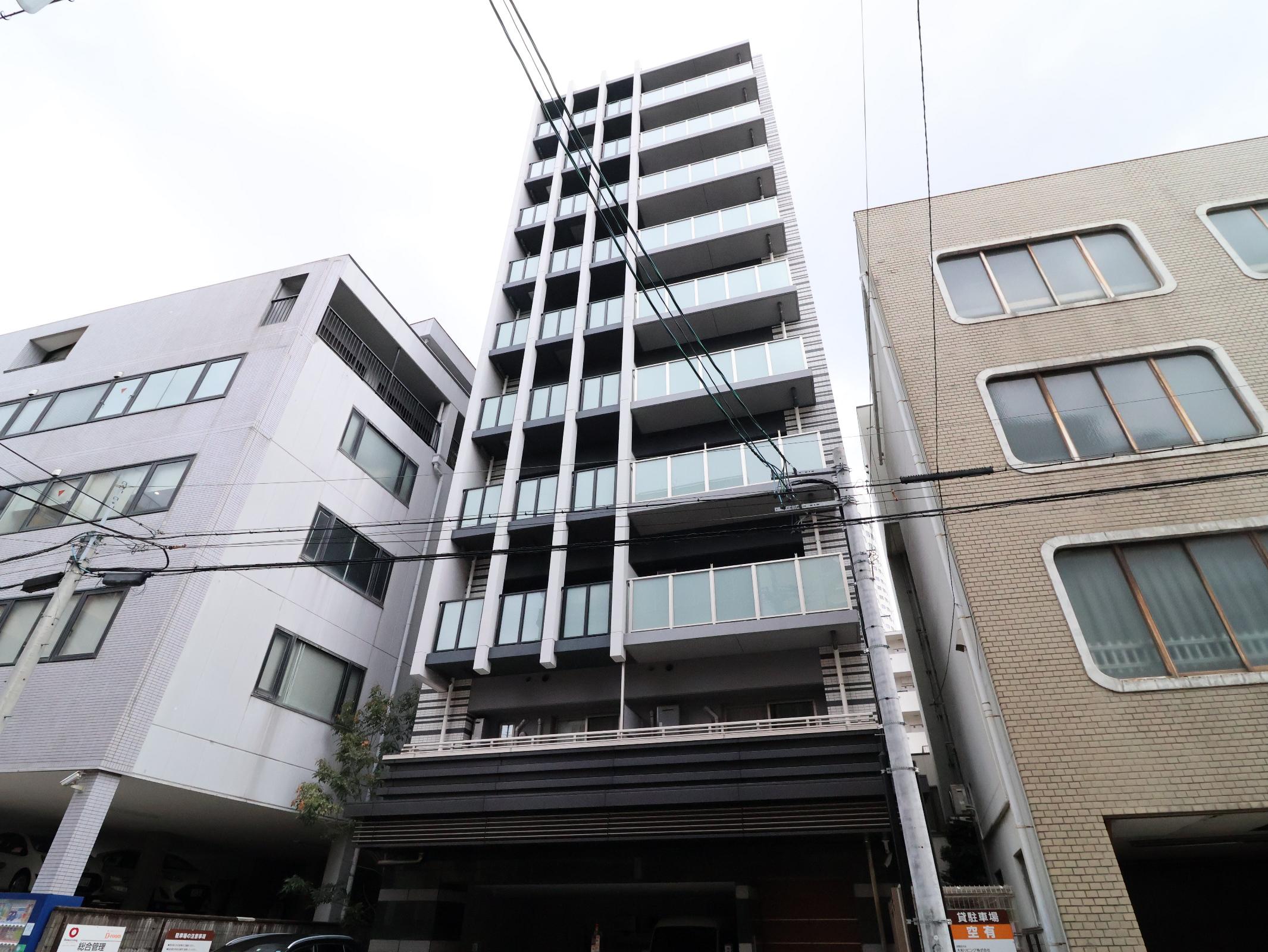 OASIS金山