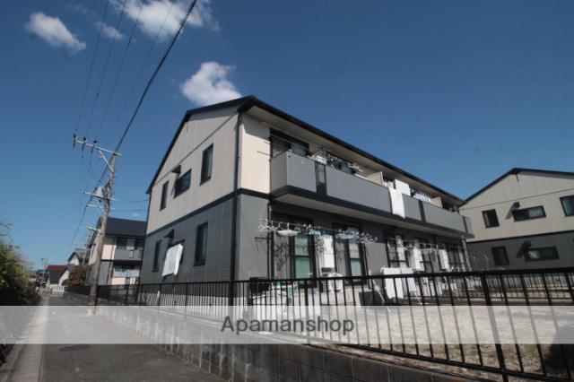 パインウェーブ