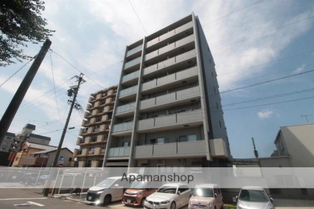 コートシャイン