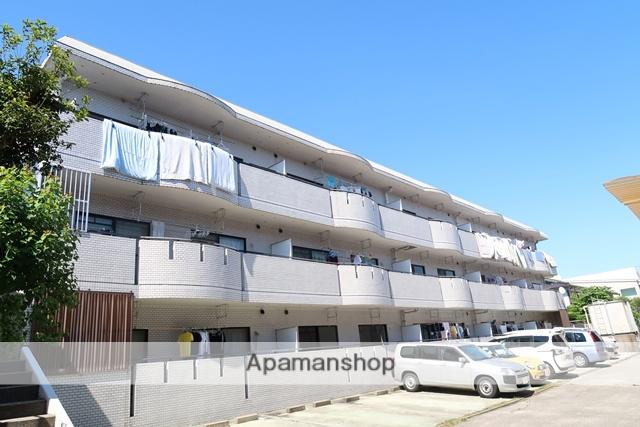 ブルッシュフィールド