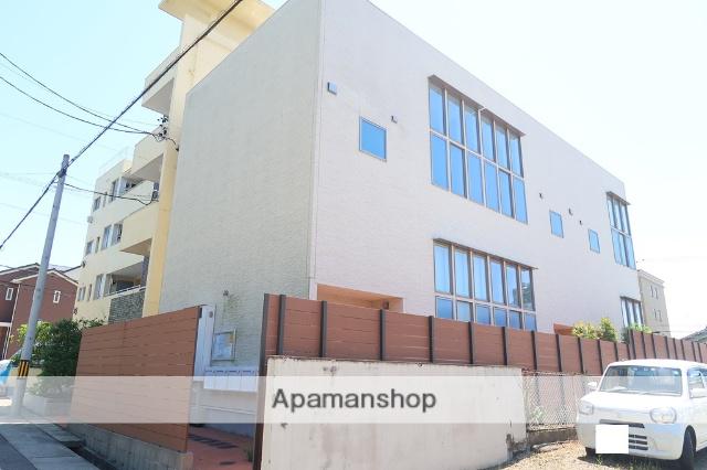 コレクション本郷