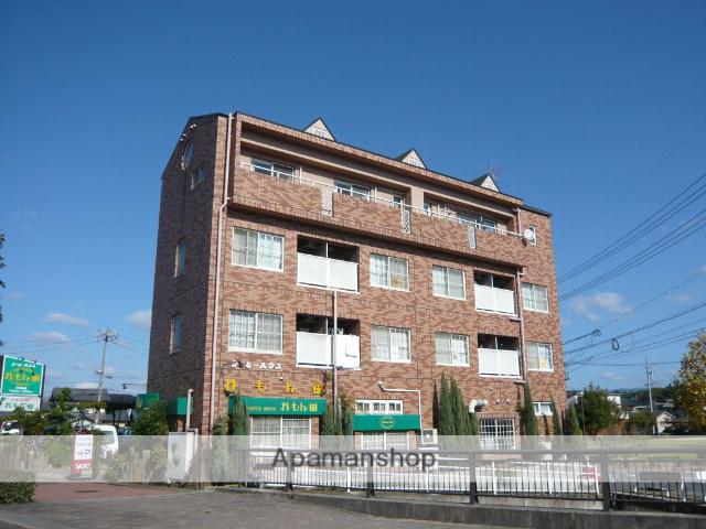 ぴゅあハウスれもん樹