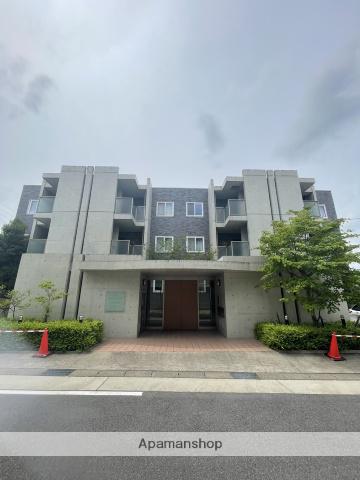 グリシーヌ藤英