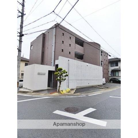 ウェルトータス