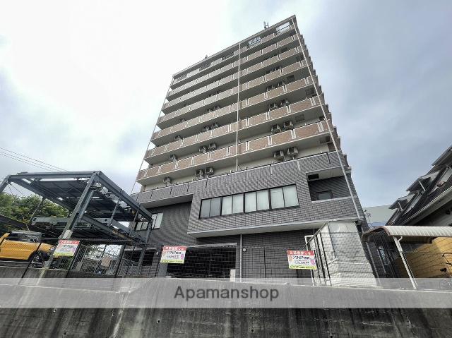 ドリーム・ピア