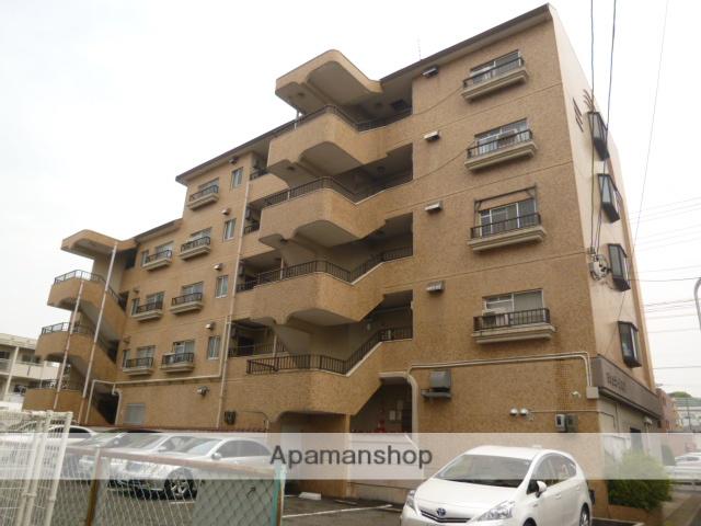 シャンポール幹Ⅱ