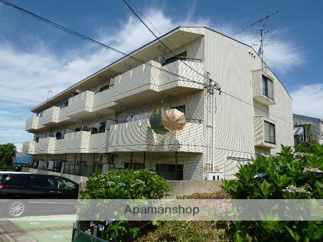 ブルッシュフィールド2