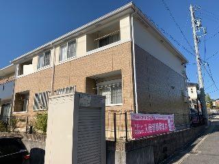 ヒルトップネウラ