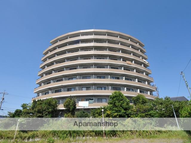 セラヴィ坂崎(1K/5階)