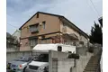 セジュール錦