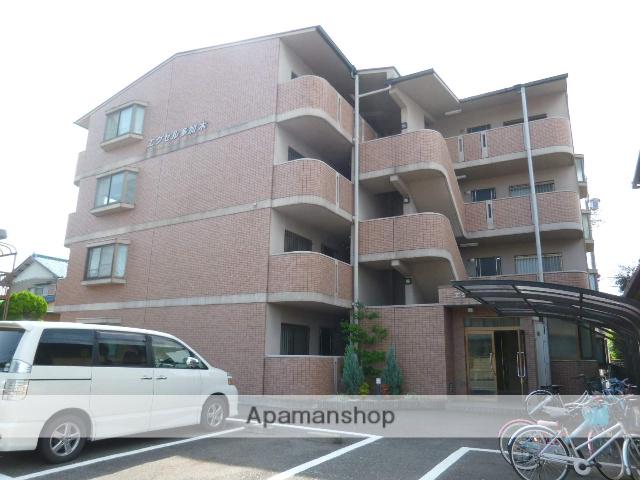 エクセル多加木[4階]