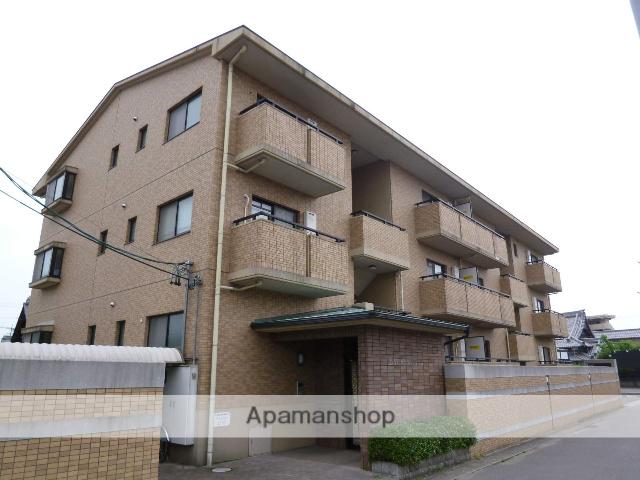 ベラ・マティーナ