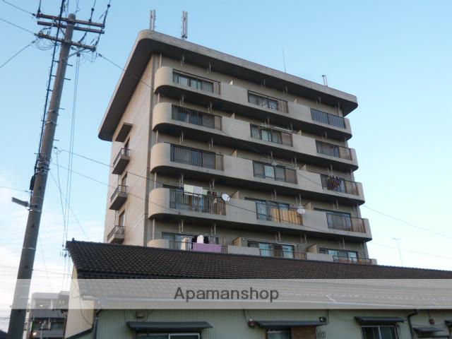 プレジデントモリス