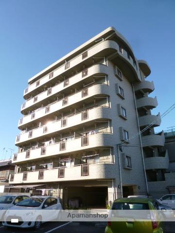 ウェーク・フォレスト・ブロンド