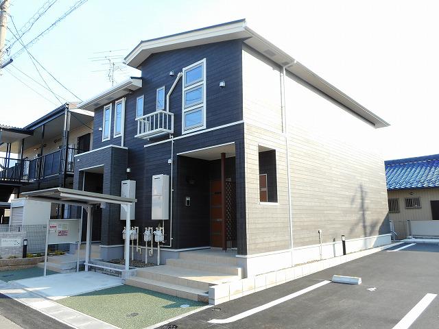 プラシード・YM