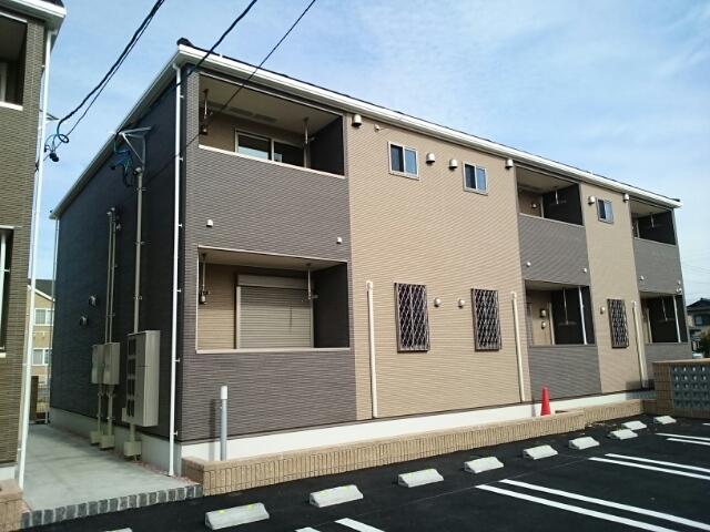 カームパインツリー21 B