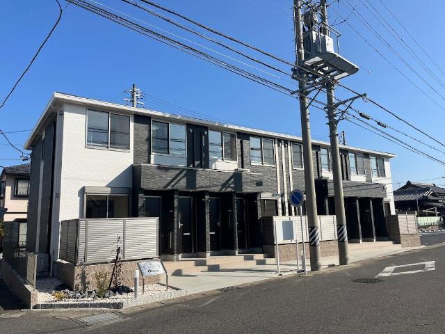 オリーブ