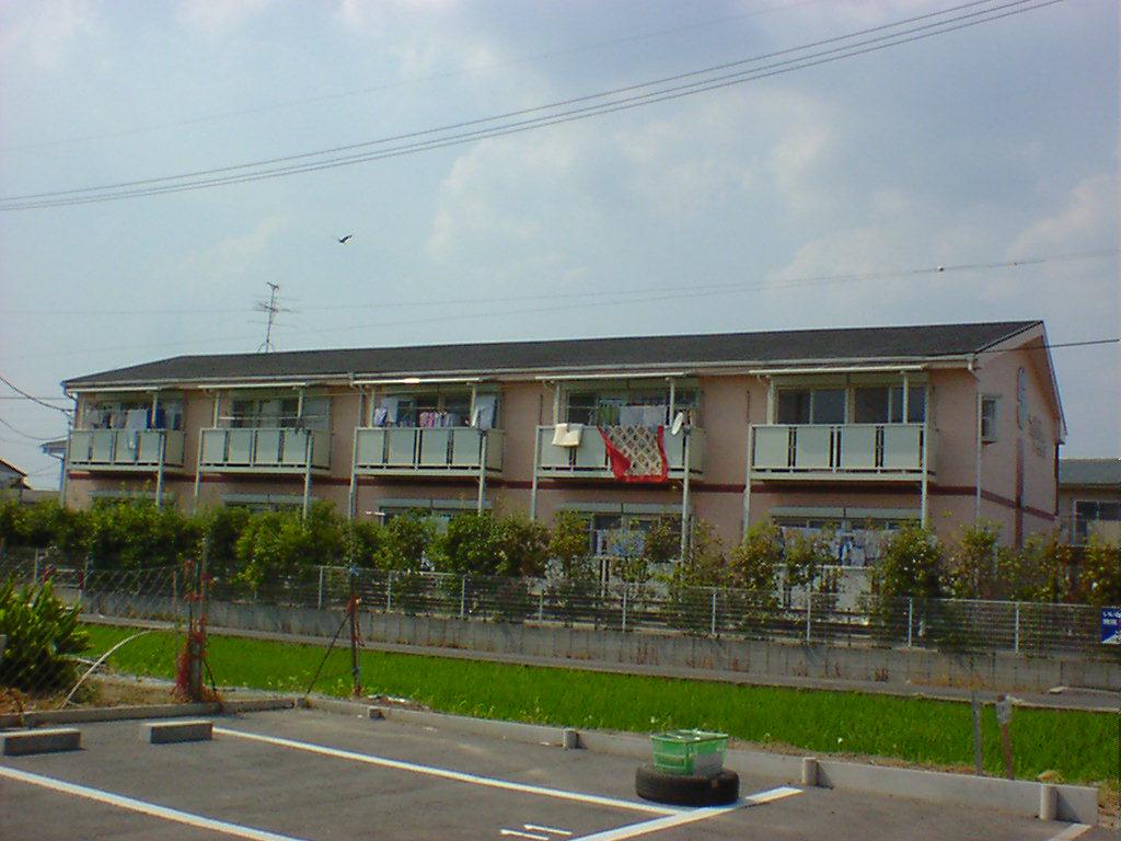 SURPLUS THREE わかば