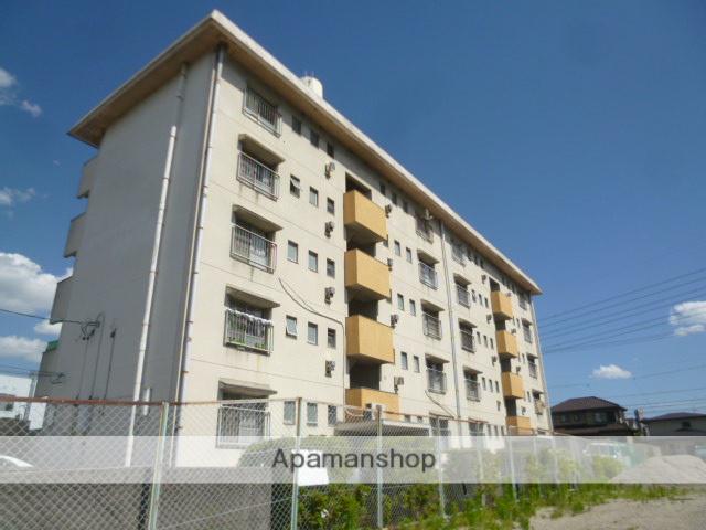 アネックス楠50