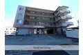 グランドハイツ長谷川Ⅱ