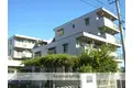 PATIO楠