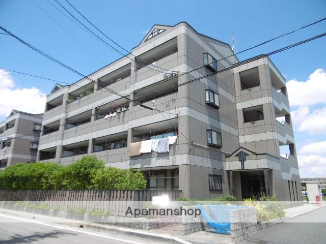 シャインヒルズ