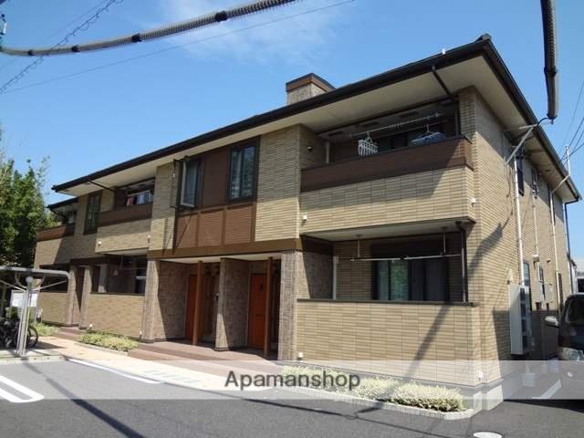 ドクターバード W